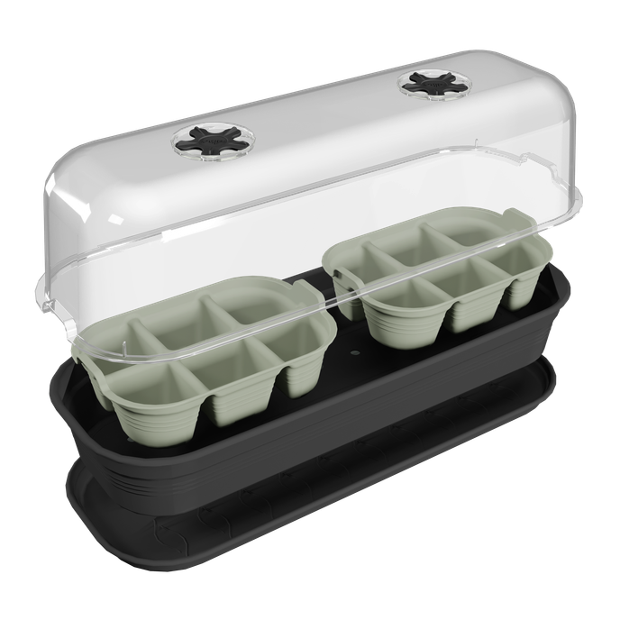 green basics plateau de semis 22cm vert pierre